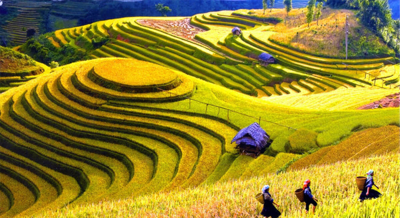 Đi du lịch Sapa mùa nào đẹp nhất trong năm? Đi du lịch Sapa mùa nào đẹp nhất trong năm?