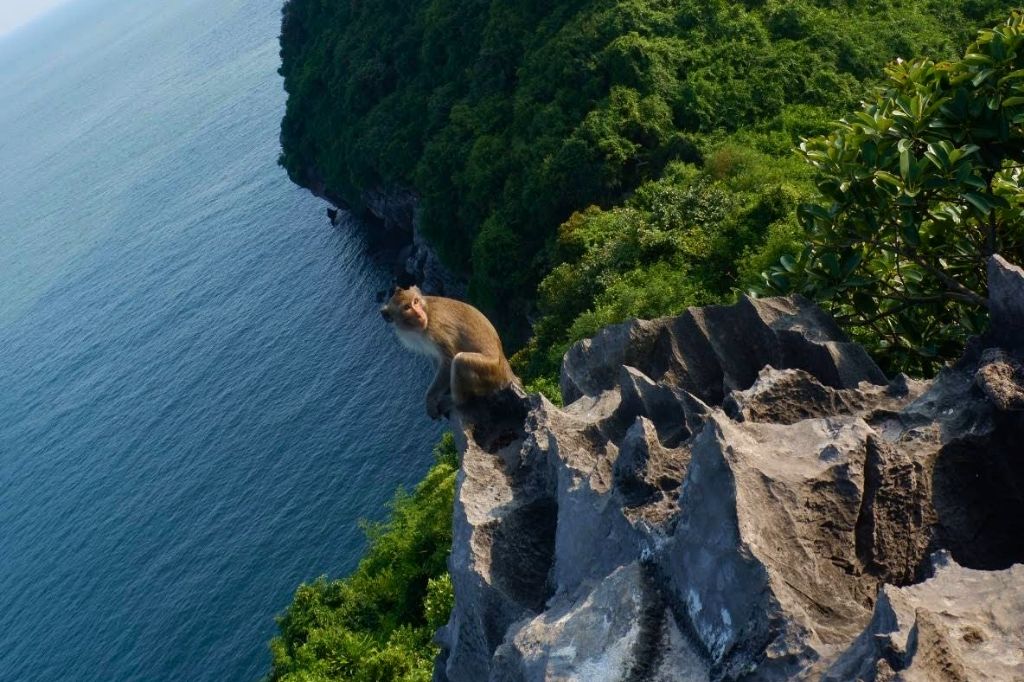 đảo khỉ cát bà