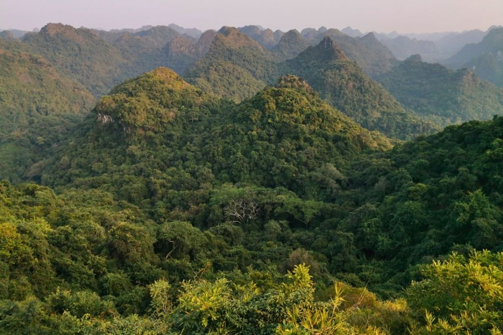 rung quoc gia dao cat ba