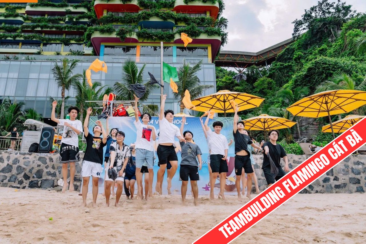 tour flamingo cat ba 3 ngay 2 dem teambuilding 2026