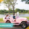 flamingo đại lải