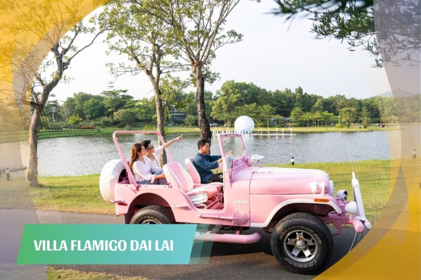 flamingo đại lải