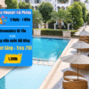 Combo Melia Vinpearl Hải Phòng 2 ngay 1 dem vinwondersweb