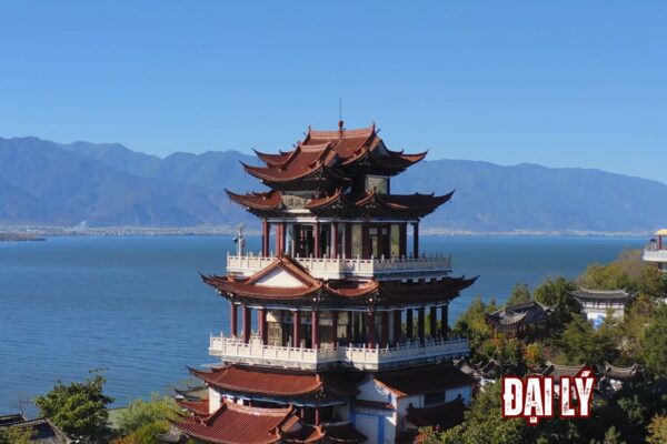ĐẠI LÝ (5)