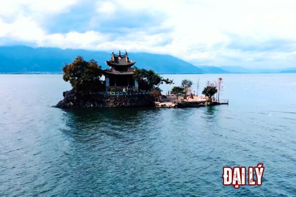 ĐẠI LÝ (5)