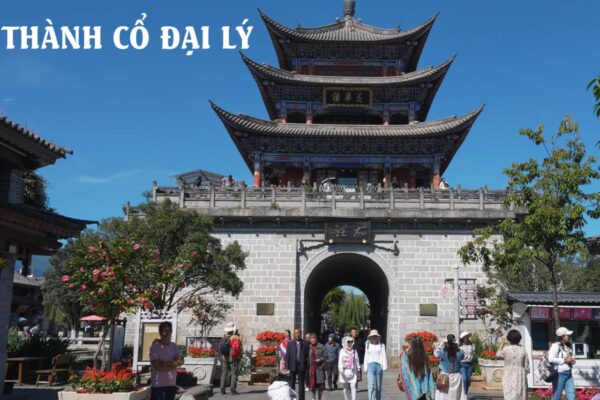 ĐẠI LÝ (5)