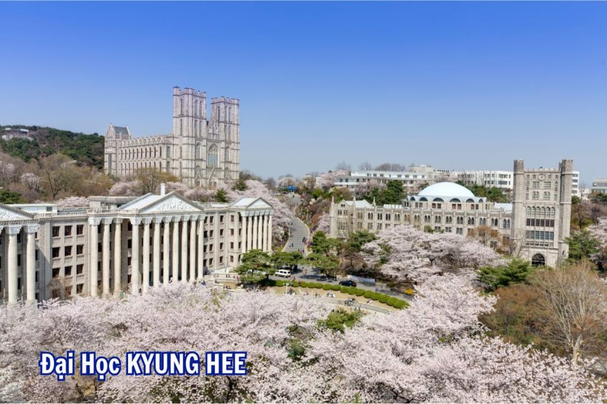 Đại Học KYUNG HEE Hàn Quốc