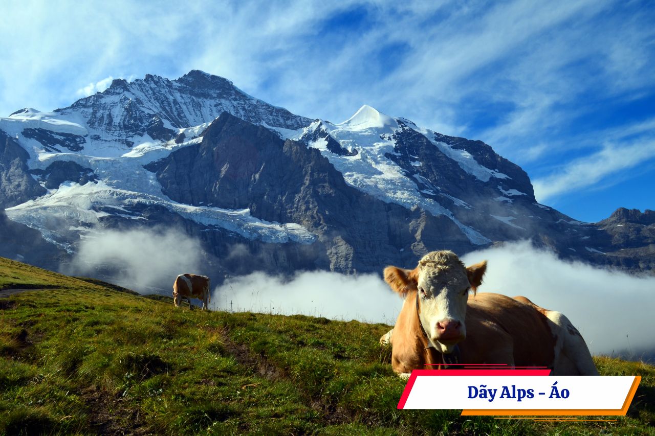 Dãy Alps - Áo