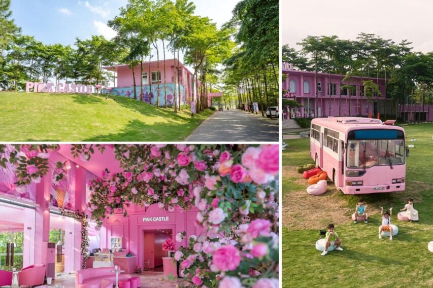 Flamingo Dai Lai Resort Pink Castle