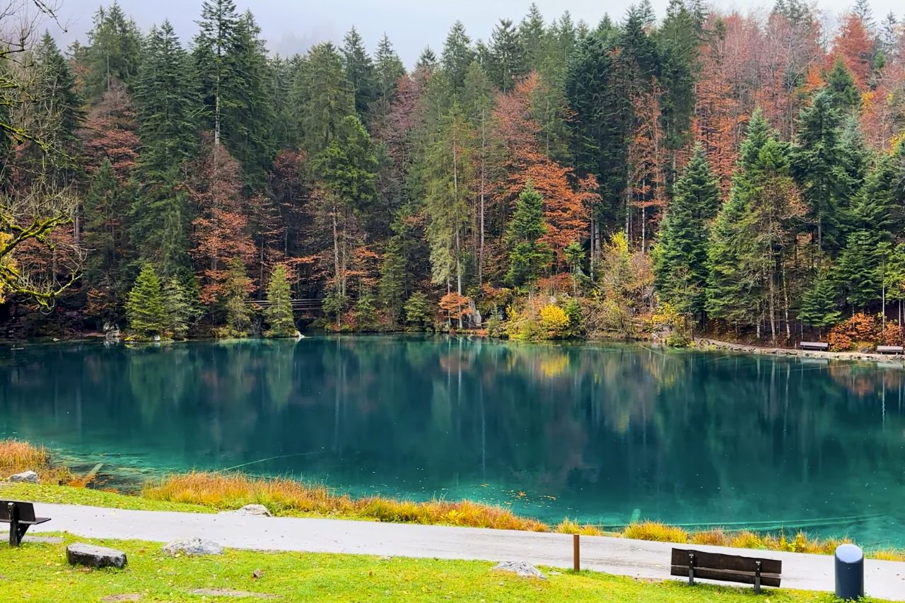 Hồ Blausee - Thụy Sĩ