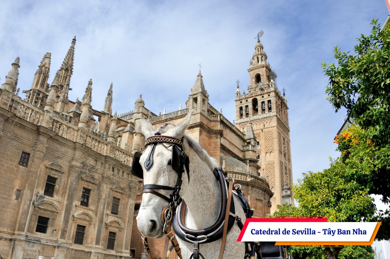 Nhà thờ Catedral de Sevilla - Tây Ban Nha