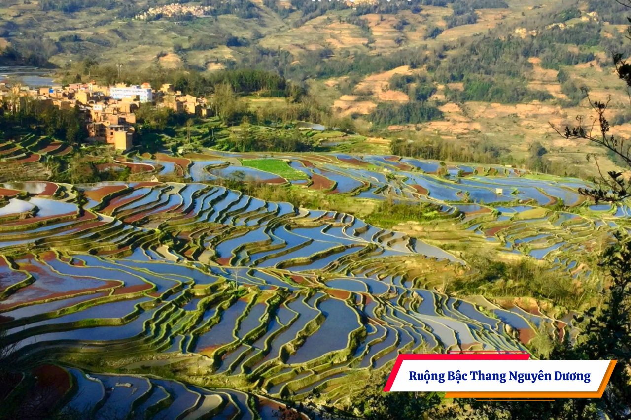 Ruộng Bậc Thang Nguyên Dương Vân Nam
