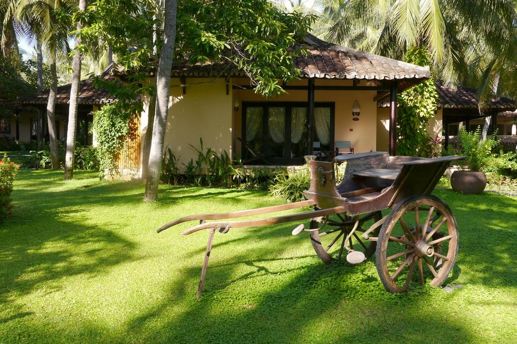 Online Booking Travel – Nghỉ dưỡng 5 sao!