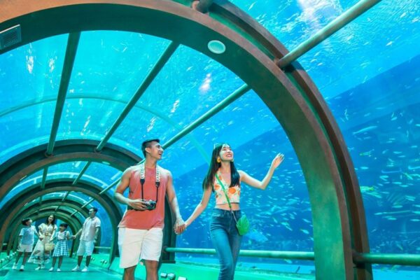 Sheraton Phú Quốc (26) vui chơi giải trí