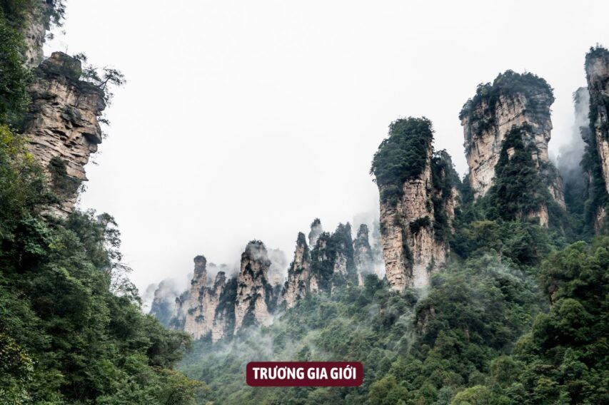TRUONG GIA GIOI TRUNG QUOC (3)