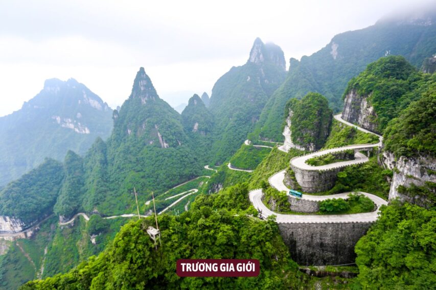 TRUONG GIA GIOI TRUNG QUOC (3)