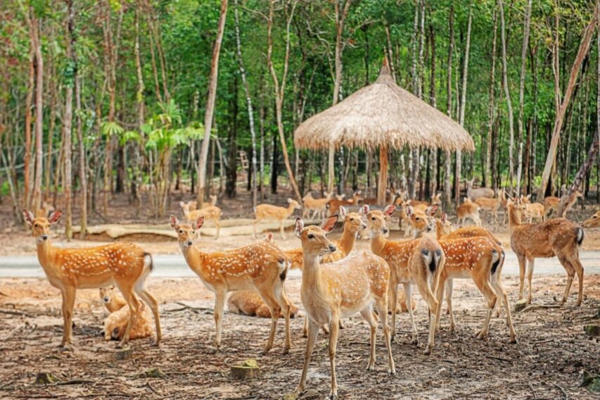 Vinwonders Vũ Yên - Hải Phòng (2)