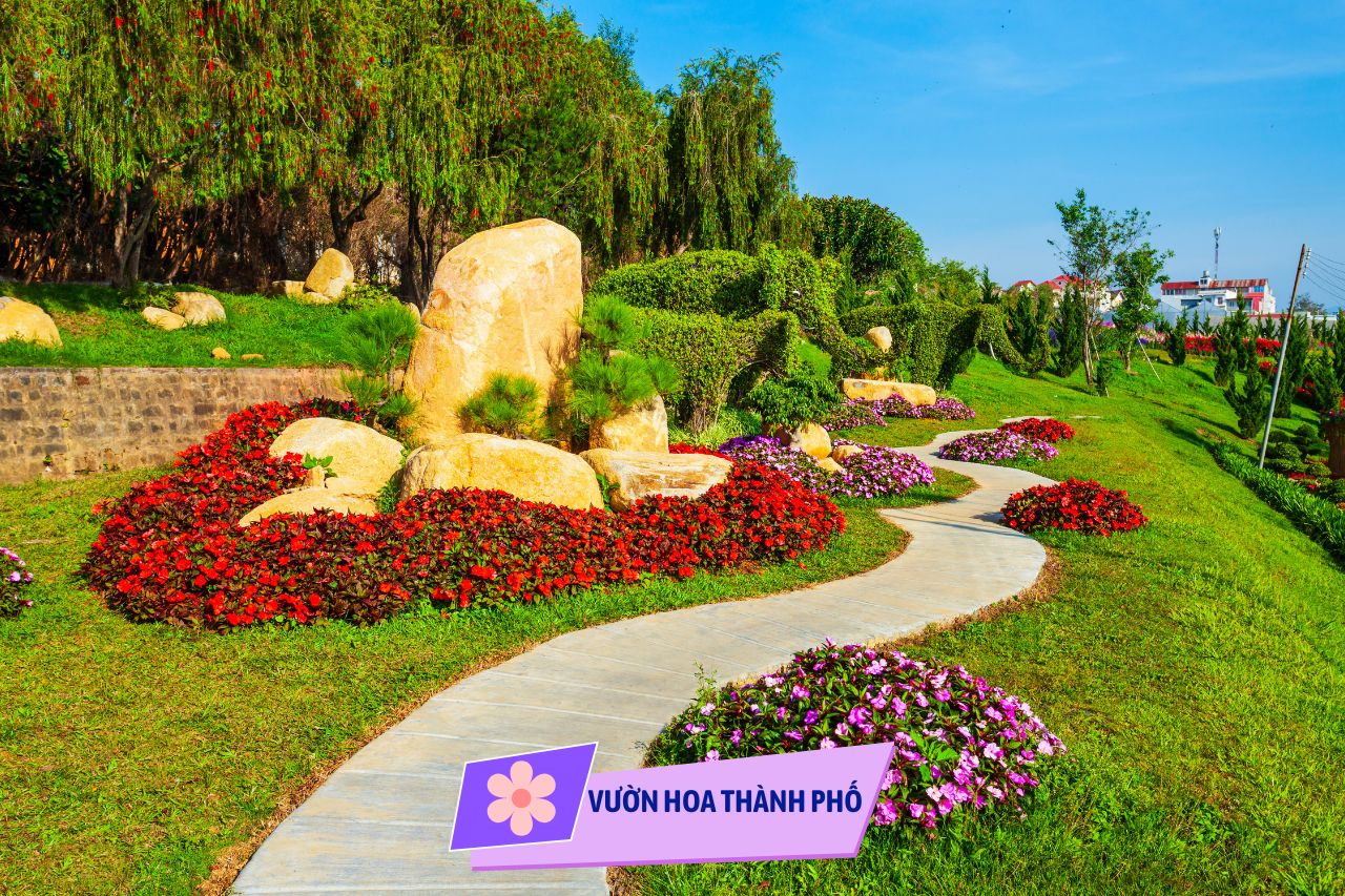 Vườn hoa Thành phố - Đà Lạt
