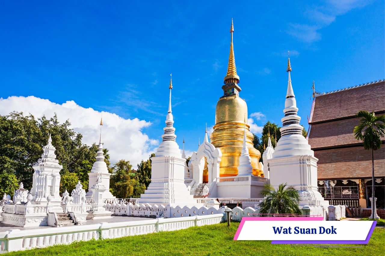Wat Suan Dok Chiang Mai