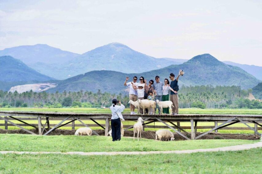 đồng cừu suối tiên ninh thuận 02