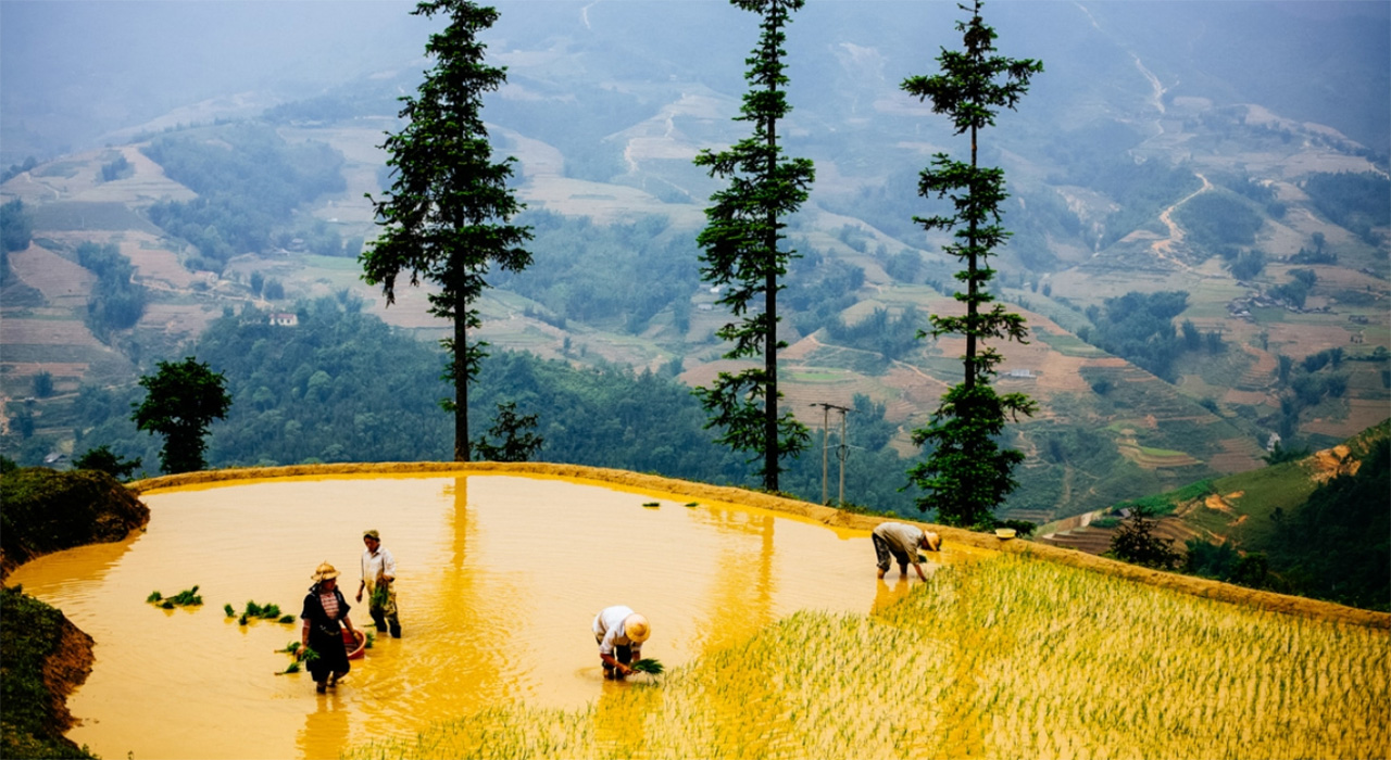 du lịch sapa mua he