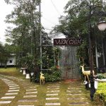 FLC Vĩnh Phúc Resort