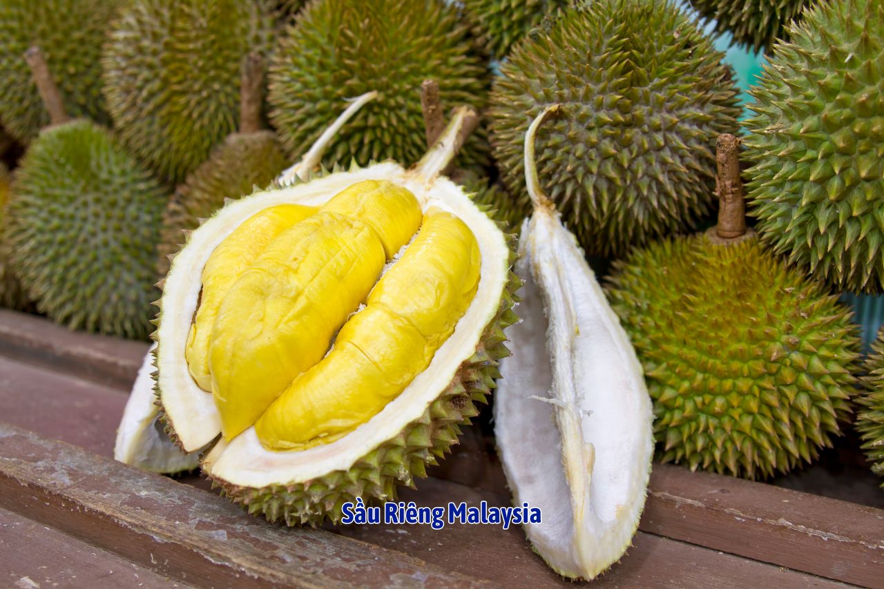 món ăn malaysia (7)