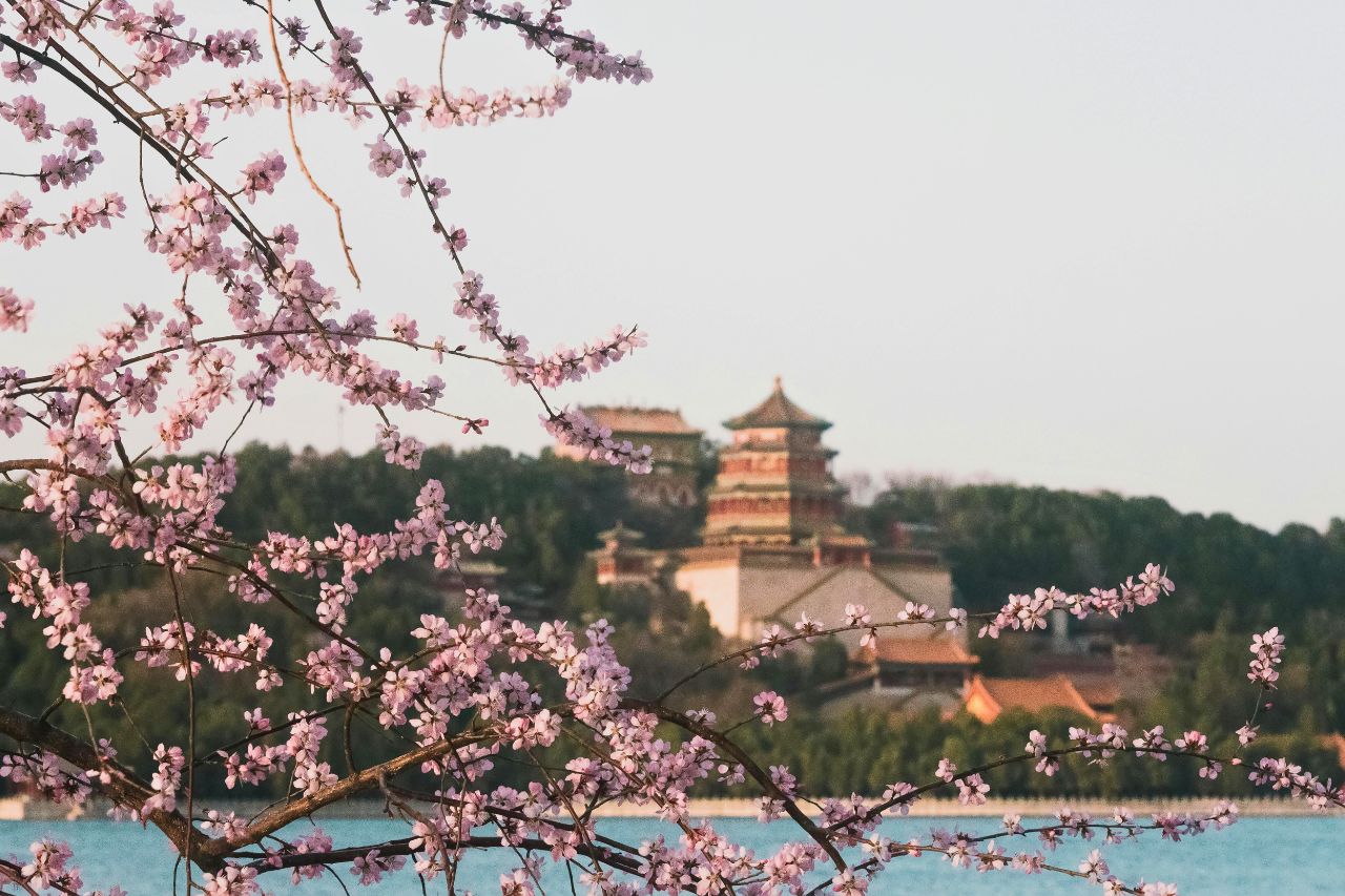 mua xuan o bac kinh voi hoa anh dao