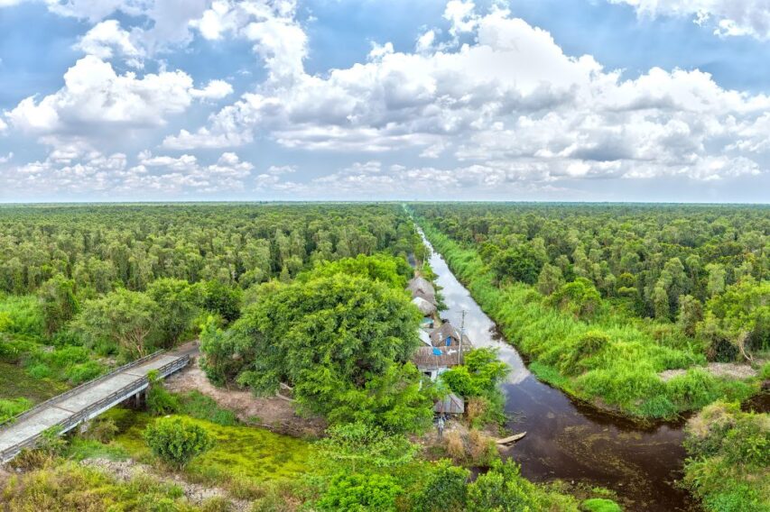 rừng u minh cà mau