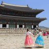 Tour Hàn Quốc: Seoul - Nami - Everland (tháng 3, 4 - bay Vietnam Airlines)